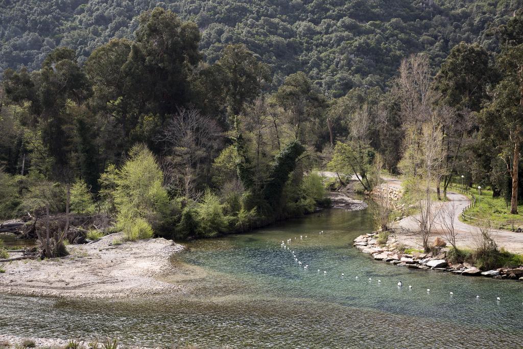 Résidence Hotelière Capu Seninu Porto  Camera foto